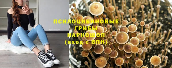 альфа пвп Арсеньев